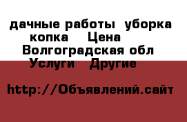 дачные работы, уборка , копка. › Цена ­ 350 - Волгоградская обл. Услуги » Другие   